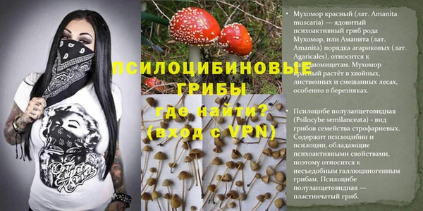 прущие крисы Алзамай