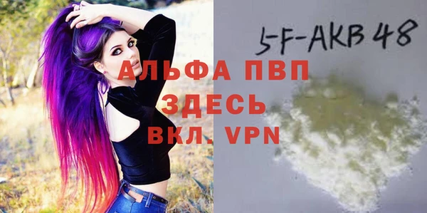 шишки Абаза