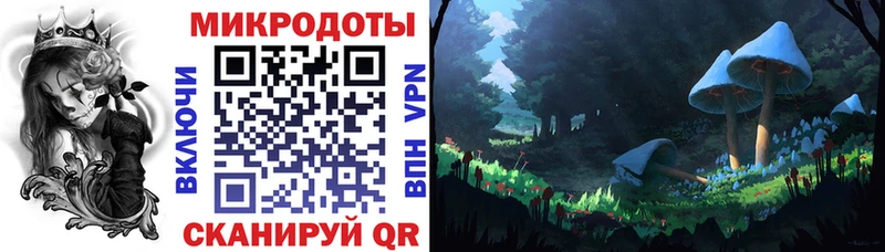 ссылка на мегу tor  маркетплейс официальный сайт  Сыктывкар  Галлюциногенные грибы мухоморы  где купить  